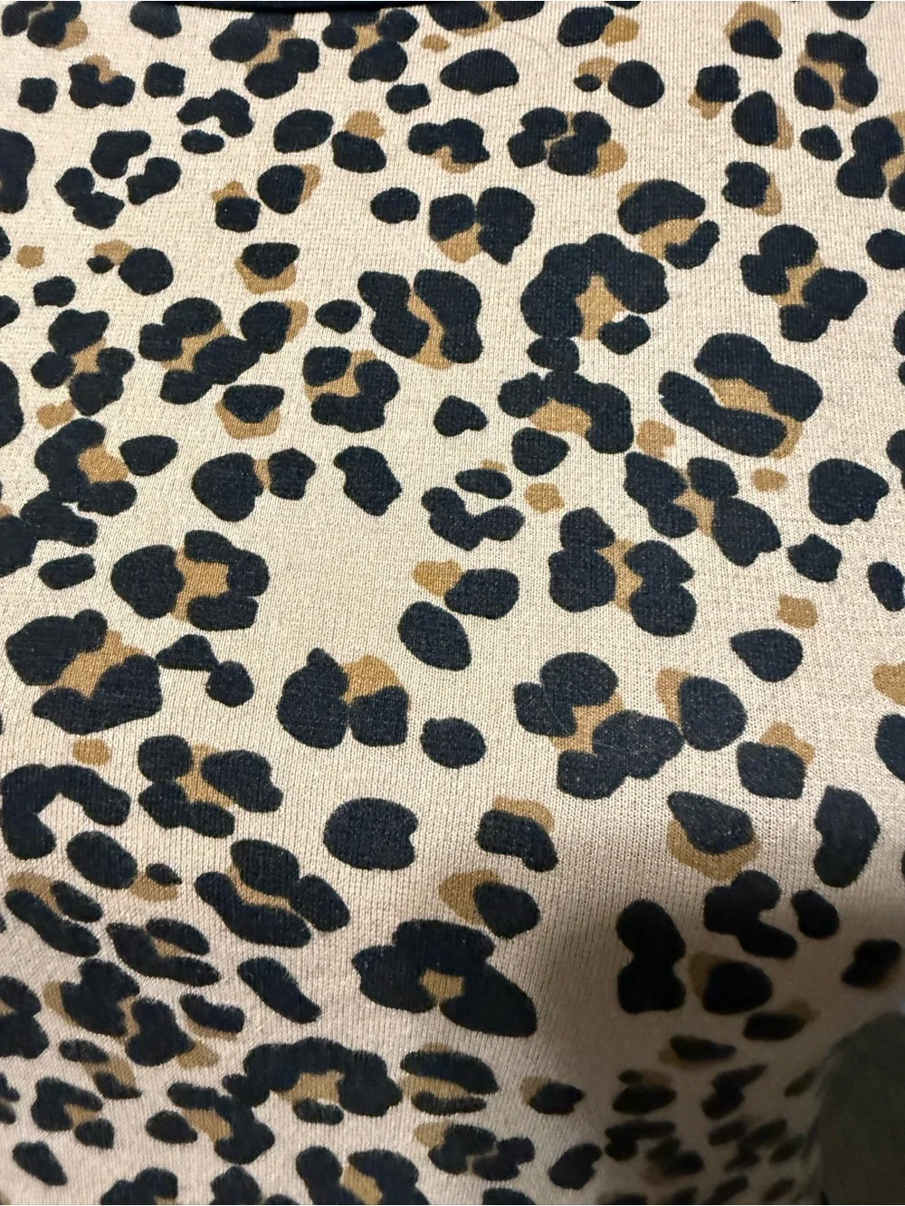 Gymboree Leopard Print Dress with Black Trim
